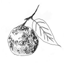 vessel-of-loam avatar