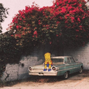 vezirinyardimcisix avatar