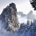 vfd-headquarters avatar