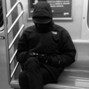 viceroyofforests avatar