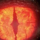 vicious-nemesis avatar