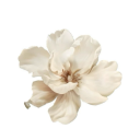 victoriadaniela avatar