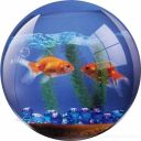 victoriamalone avatar