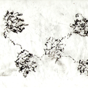 vielen-dank-kunst avatar