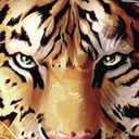 vincentfourneuf avatar