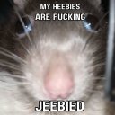 vincey-wincey avatar