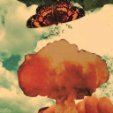 violasmirabiles avatar