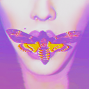 violenceandmilk avatar