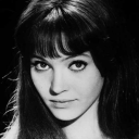 violettes4roses avatar