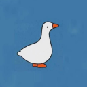 virtualbirdcloud avatar