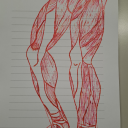 visiblysilentdrifter avatar