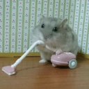 vitaminddeficiency avatar