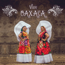 viveoaxaca avatar