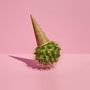 vixensandvines avatar