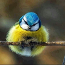 vkacademybank avatar