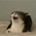 vodkanburgers avatar