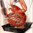 voice-of-the-lobster avatar