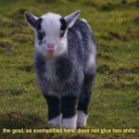 volchitsabessmertny avatar