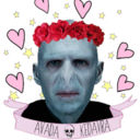 voldemort-com-nariz avatar