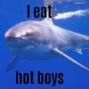 voluntary-necrosis avatar