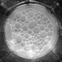 vulturenothing avatar