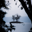 vultures-blog avatar