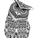 vvividdreams-blog avatar