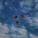 w-ei-rd-v-ibes-or-whatever avatar