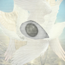 w1nged-seren1ty avatar