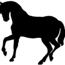 walk-trot-canter-gallop-blog avatar