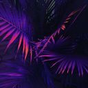 walking-oddity avatar