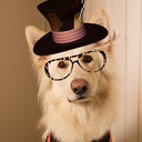 walleandemily avatar