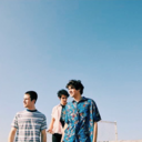 wallows-music avatar