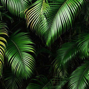 wander-in-the-dark avatar