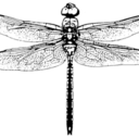 wanderers-paradise avatar