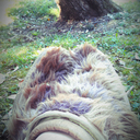 wanderingpixie avatar