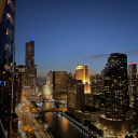 want-to-be-bones avatar