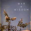 warandwisdom avatar