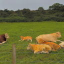 warm-concrete avatar