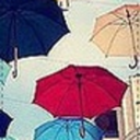 warmsummerbreezenm avatar