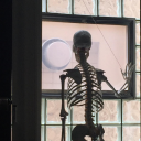 wassupcadavers avatar