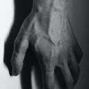 wastelandmind avatar