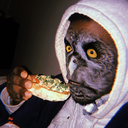 watashikurasawa avatar