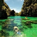 watchlilylove avatar