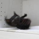 watchmebleedout avatar