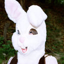 waterbedrxses avatar