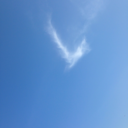 watercolorliberation avatar