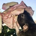 wateringbodies avatar