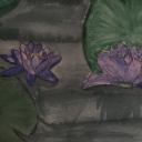 waterlilycrayon avatar