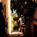 watermelonraindropx avatar